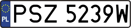 PSZ5239W