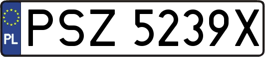 PSZ5239X