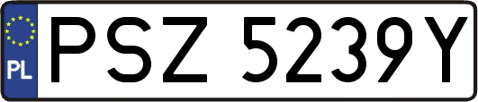 PSZ5239Y