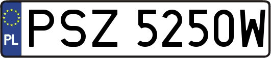PSZ5250W