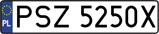 PSZ5250X