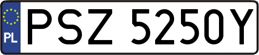 PSZ5250Y
