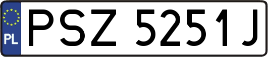 PSZ5251J