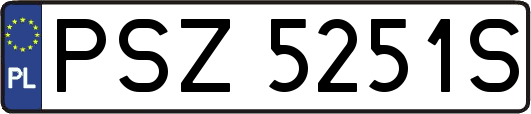 PSZ5251S
