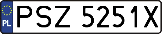 PSZ5251X