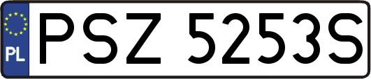 PSZ5253S