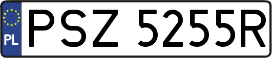 PSZ5255R