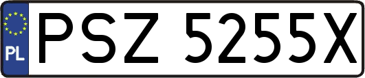 PSZ5255X