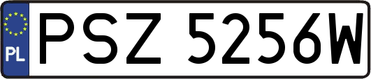 PSZ5256W