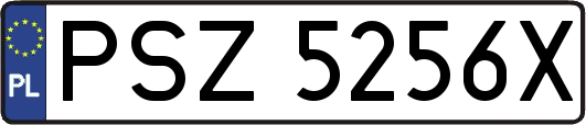 PSZ5256X