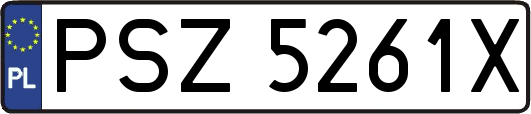 PSZ5261X