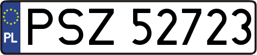PSZ52723