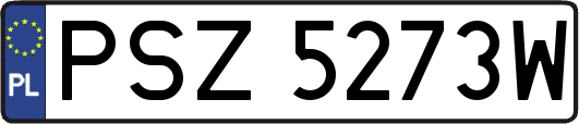 PSZ5273W