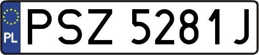PSZ5281J