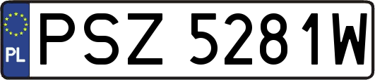 PSZ5281W