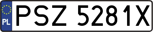 PSZ5281X