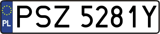 PSZ5281Y