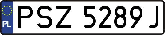 PSZ5289J