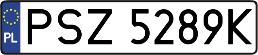 PSZ5289K