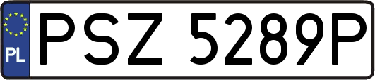 PSZ5289P