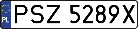 PSZ5289X