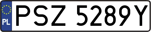 PSZ5289Y