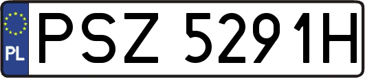 PSZ5291H