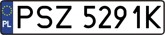 PSZ5291K