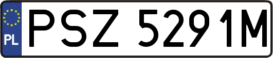 PSZ5291M