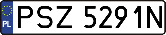 PSZ5291N