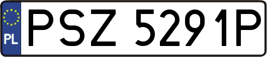 PSZ5291P