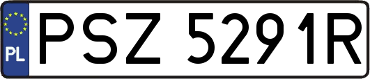 PSZ5291R