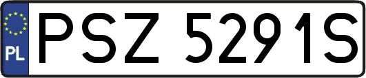 PSZ5291S