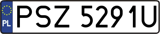 PSZ5291U