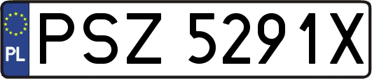 PSZ5291X