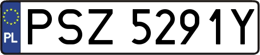 PSZ5291Y