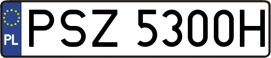 PSZ5300H