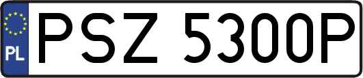 PSZ5300P