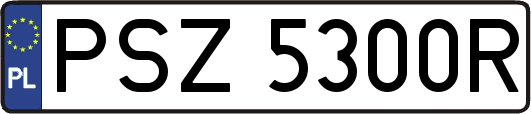 PSZ5300R