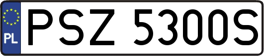 PSZ5300S