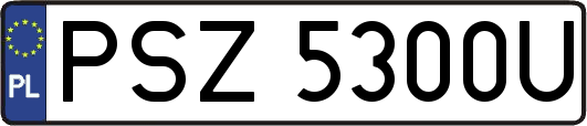 PSZ5300U