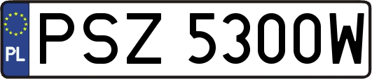 PSZ5300W