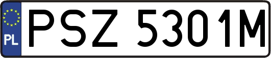 PSZ5301M