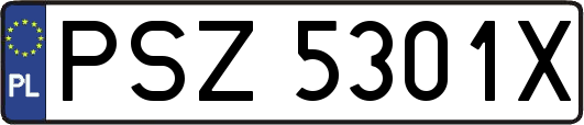 PSZ5301X