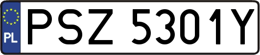 PSZ5301Y