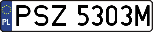 PSZ5303M