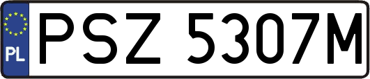 PSZ5307M