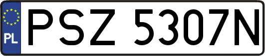 PSZ5307N