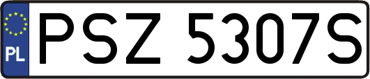 PSZ5307S