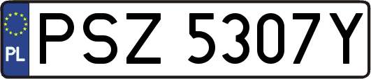PSZ5307Y